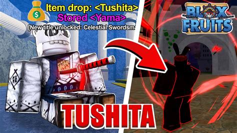 how do u get tushita in blox fruits|locations of torches for tushita.